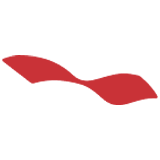 Logo WINS